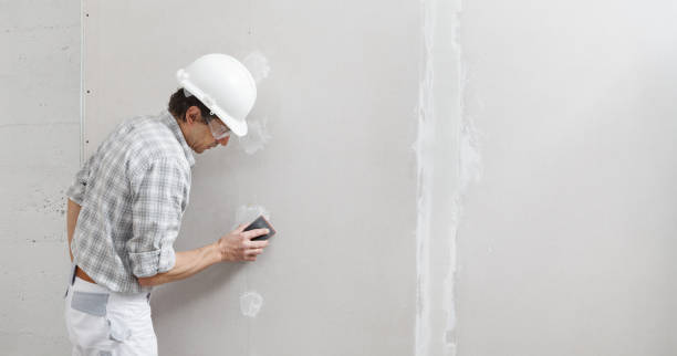  Wayzata, MN Mold Removal Pros