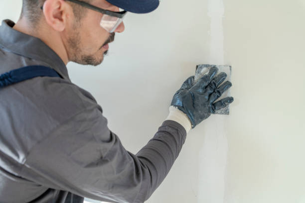 Best Asbestos and Lead Testing During Mold Inspection  in Wayzata, MN