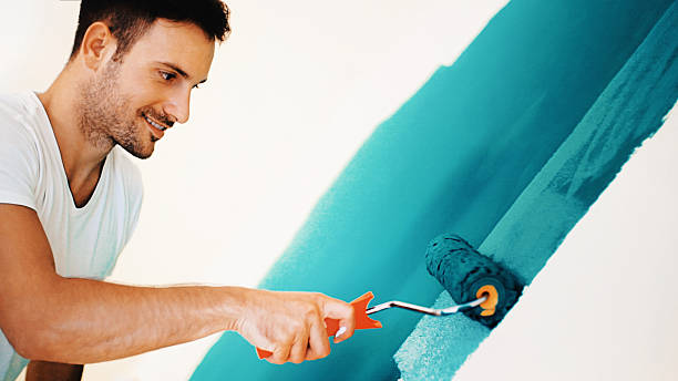 Best Mold Odor Removal Services  in Wayzata, MN