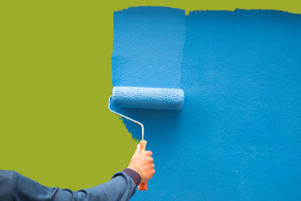 Trusted Wayzata, MN Mold Removal Experts