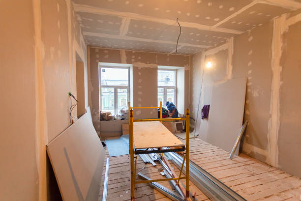 Best Mold Removal for HVAC Installations  in Wayzata, MN