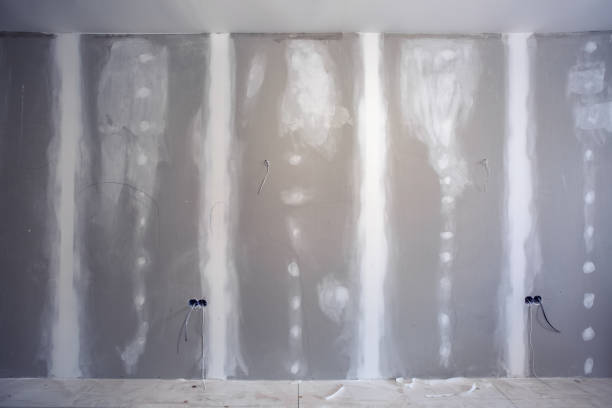Best Commercial Mold Inspection  in Wayzata, MN
